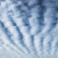 Buy canvas prints of High White Furrow Clouds in a Blue Sky by Nick Jenkins