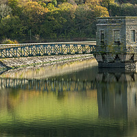 Buy canvas prints of The Tower at Talybont Reservoir Brecon Beacons by Nick Jenkins