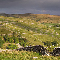 Buy canvas prints of The Hills above Malham Cove Yorkshire Dales  by Nick Jenkins