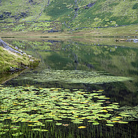 Buy canvas prints of Cwm Orthin Lake above Tanygrisiau in North Wales  by Nick Jenkins