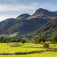 Buy canvas prints of Great Langdale Valley Lake District Cumbria by Nick Jenkins