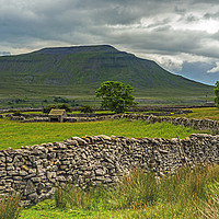 Buy canvas prints of Ingleborough from Chapel le Dale Yorkshire Dales by Nick Jenkins