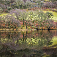 Buy canvas prints of Reflections Caban Coch Reservoir Claerwen Valley by Nick Jenkins