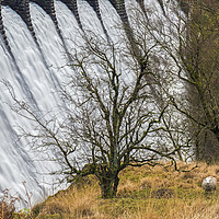 Buy canvas prints of Craig Goch Dam and Sheep Elan Valley Mid Wales by Nick Jenkins