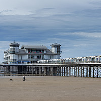 Buy canvas prints of The Grand Pier at Weston Super Mare Somerset by Nick Jenkins