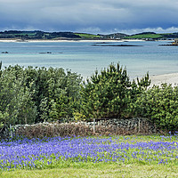 Buy canvas prints of Tresco from St Martins in the Isles of Scilly by Nick Jenkins