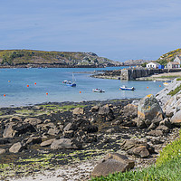 Buy canvas prints of New Grimsby Harbour Tresco Isles of Scilly by Nick Jenkins
