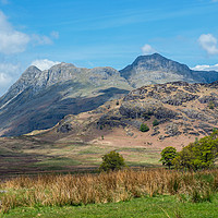 Buy canvas prints of The Langdale Pikes from Blea Tarn Lake District by Nick Jenkins
