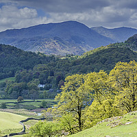 Buy canvas prints of View of Wetherlam from Elterwater Great Langdale by Nick Jenkins