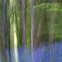 Buy canvas prints of Bluebell Woods in Abstract Blur by Nick Jenkins
