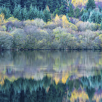 Buy canvas prints of Tree reflections Llwyn Onn Reservoir Brecon Beacon by Nick Jenkins
