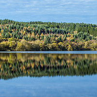 Buy canvas prints of Tree Reflection Llwyn Onn Reservoir Brecon Beacons by Nick Jenkins