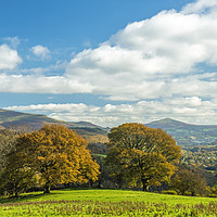 Buy canvas prints of Sugarloaf Mountain Brecon Beacons National Park by Nick Jenkins