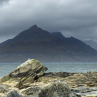 Buy canvas prints of The Black Cuillin Hills from Elgol Skye by Nick Jenkins