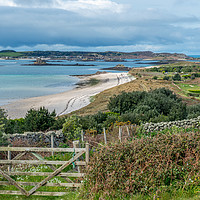 Buy canvas prints of Tresco from St Martins in the Isles of Scilly by Nick Jenkins