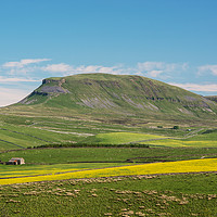 Buy canvas prints of Pen y Ghent Yorkshire Dales  by Nick Jenkins