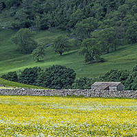 Buy canvas prints of Littondale Flower Meadows and Barn Yorkshire Dales by Nick Jenkins