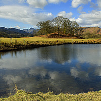 Buy canvas prints of River Brathay Great Langdale Valley Lake District  by Nick Jenkins