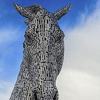 Buy canvas prints of One of the Two Kelpies Helix Park Falkirk by Nick Jenkins