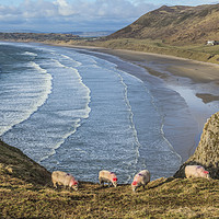 Buy canvas prints of Looking Down On Rhossili Bay Gower South Wales  by Nick Jenkins