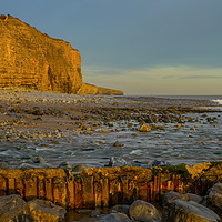 Buy canvas prints of Llantwit Major Cliffs Sunlit Evening Wales by Nick Jenkins