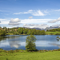 Buy canvas prints of Loughrigg Tarn Landscape Lake District in Spring by Nick Jenkins
