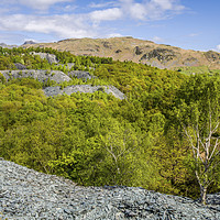 Buy canvas prints of Landscape at Hodge Close Quarry by Nick Jenkins