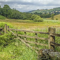 Buy canvas prints of Wooden Gate and Farmland in the Lake District  by Nick Jenkins