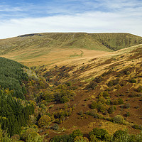Buy canvas prints of Autumn at Waun Rydd Brecon Beacons National Park by Nick Jenkins