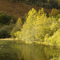 Buy canvas prints of Autumn at Upper Pond Clydach Vale Rhondda by Nick Jenkins