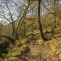 Buy canvas prints of Footpath through the Vale of Neath South Wales by Nick Jenkins