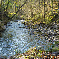 Buy canvas prints of The River Neath and surrounding woods South Wales  by Nick Jenkins