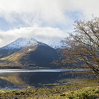 Buy canvas prints of Loch Leven Winter Tree Glencoe Scottish Highlands by Nick Jenkins