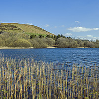 Buy canvas prints of Llanbwchllyn Lake Radnorshire Powys by Nick Jenkins