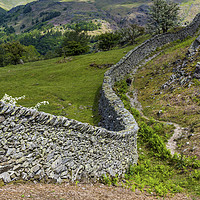 Buy canvas prints of The Winding Drystone Wall Lake District by Nick Jenkins