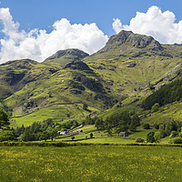 Buy canvas prints of Langdale Pikes in the Lake District in Spring by Nick Jenkins