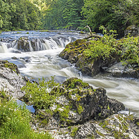 Buy canvas prints of Cenarth Falls on the River Teifi in Carmarthenshir by Nick Jenkins