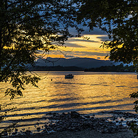 Buy canvas prints of Windermere sunset from Millerground Lake District by Nick Jenkins