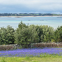 Buy canvas prints of Tresco from St Martin The Scillies  by Nick Jenkins