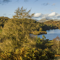 Buy canvas prints of Tarn Hows in the Lake District Cumbria Autumn by Nick Jenkins