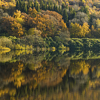 Buy canvas prints of Trees reflected in Talybont Reservoir Brecon Beaco by Nick Jenkins
