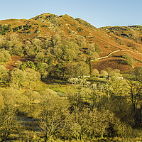 Buy canvas prints of Loughrigg Fell Lake District Winter Cumbria by Nick Jenkins