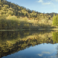 Buy canvas prints of Yew Tree Tarn reflections Coniston Lake District by Nick Jenkins