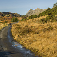 Buy canvas prints of Road leading to the Langdale Pikes Lake District by Nick Jenkins