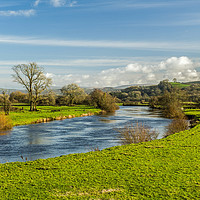 Buy canvas prints of River Tywi in Carmarthenshire by Nick Jenkins