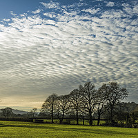 Buy canvas prints of Clouds and Trees Llandeilo Carmarthenshire by Nick Jenkins