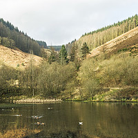 Buy canvas prints of The Upper Pond Clydach Vale Rhondda Valley by Nick Jenkins