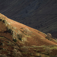 Buy canvas prints of Troutbeck Valley Sun and Shade Lake District Cumbr by Nick Jenkins