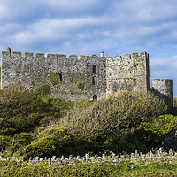 Buy canvas prints of Manorbier Castle South Pembrokeshire Coast Wales by Nick Jenkins
