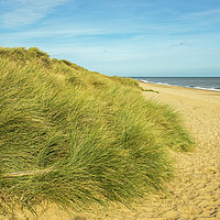 Buy canvas prints of Winterton Beach and Sand Dunes Norfolk Coast by Nick Jenkins